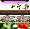 Picture of Grow Lights for Indoor Plants,  Newest 80 LEDs Full Spectrum Led Plant Grow Light, 10 Dimming Level & 4 Heads Grow Lamp